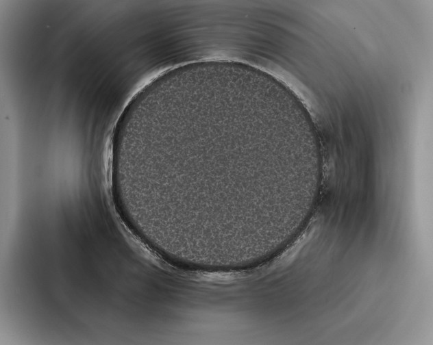 X0000086891126200705141617