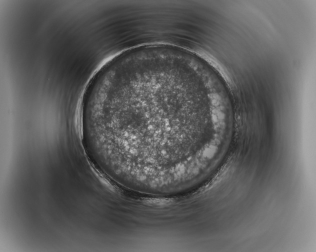 X0000086891127200705141617