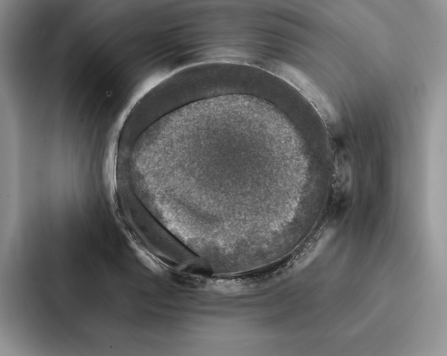 X0000086891128200705141617