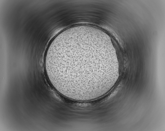 X0000086891129200705141617