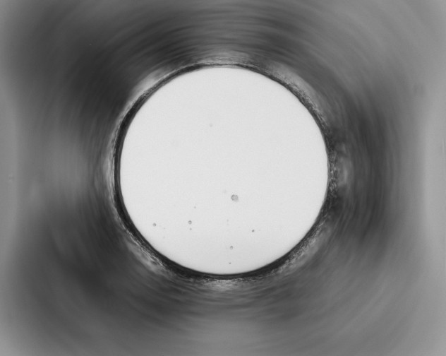 X0000086891130200705141617