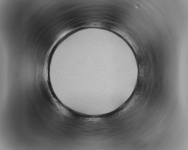 X0000086891131200705141617