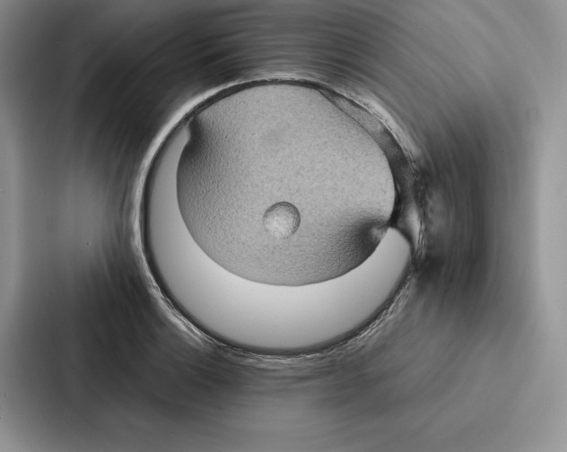 X0000086891132200705141617