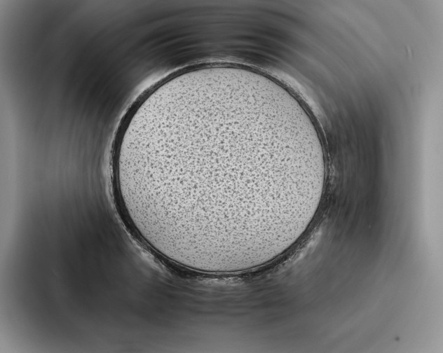 X0000086891133200705141617