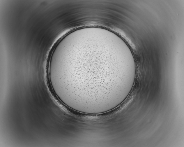 X0000086891134200705141617