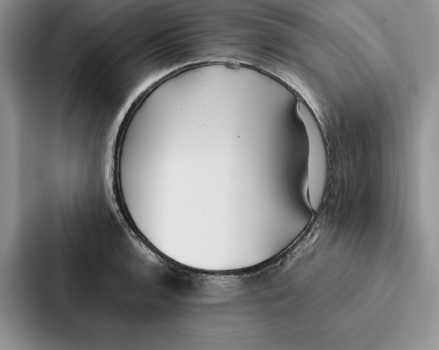 X0000086891136200705141617