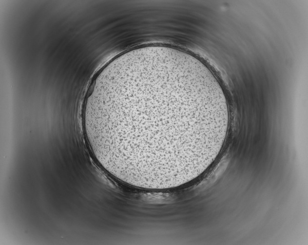 X0000086891137200705141617