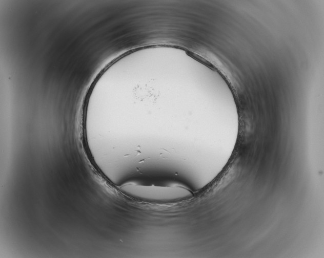 X0000086891140200705141617