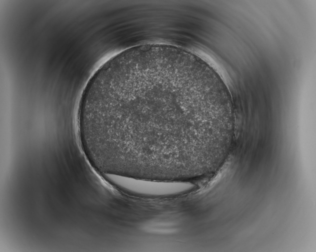 X0000086891141200705141617