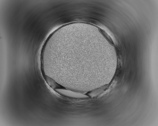 X0000086891143200705141617