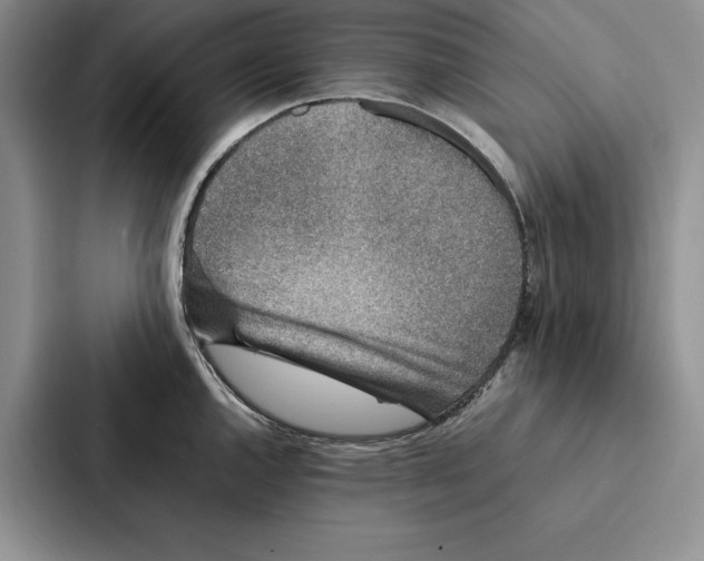 X0000086891144200705141617