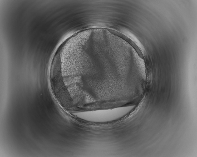 X0000086891146200705141617