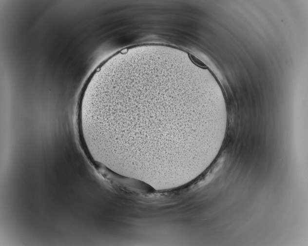 X0000086891149200705141617