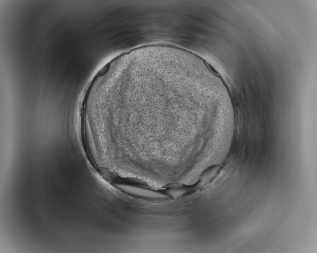 X0000086891151200705141617