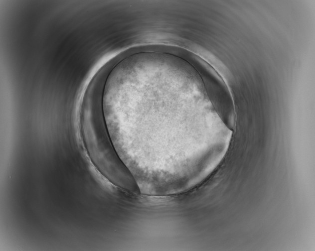 X0000086891152200705141617