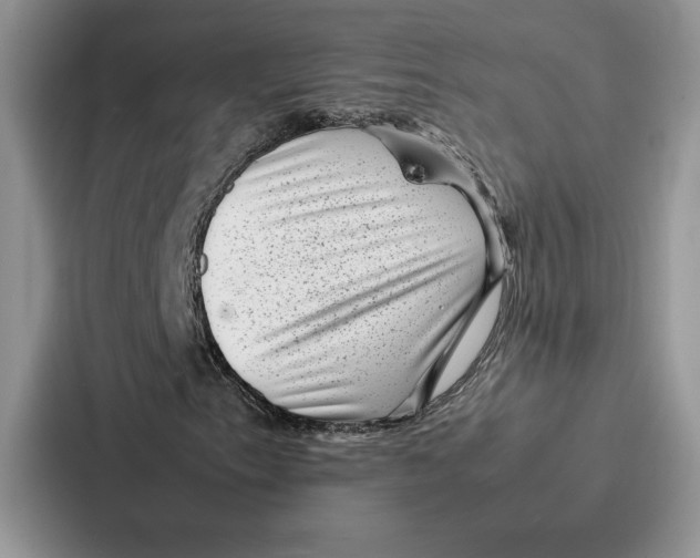 X0000086891153200705141617