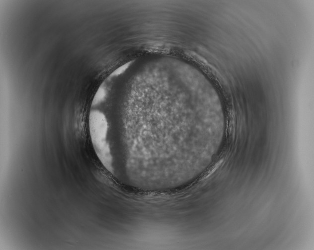 X0000086891154200705141617