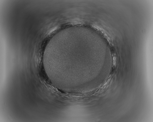 X0000086891157200705141617