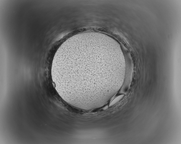 X0000086891159200705141617