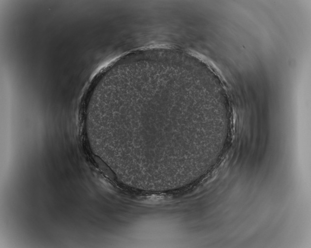 X0000086891160200705141617