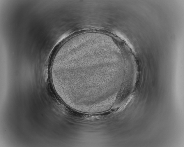 X0000086891165200705141617