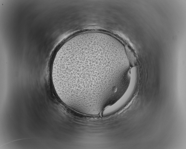 X0000086891167200705141617