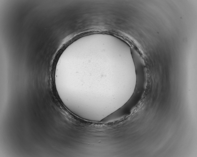 X0000086891168200705141617