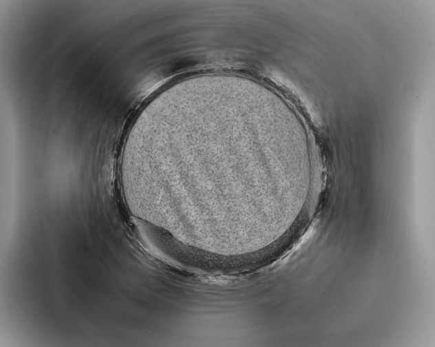 X0000086891169200705141617