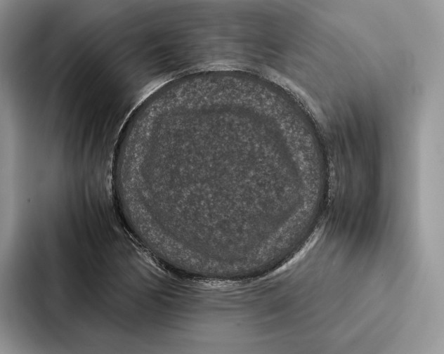 X0000086891170200705141617