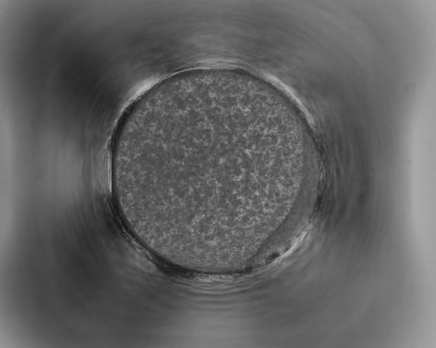 X0000086891171200705141617