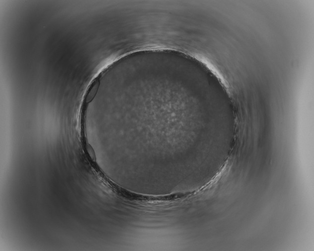 X0000086891173200705141617