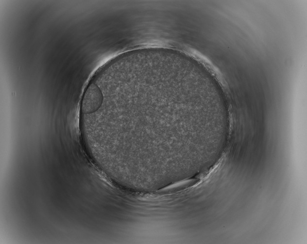 X0000086891174200705141617