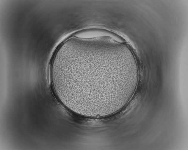 X0000086891175200705141617