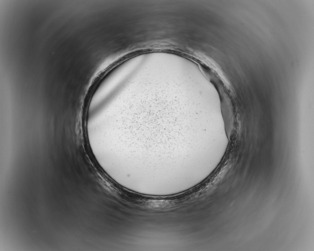 X0000086891176200705141617