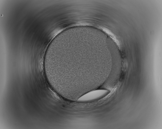 X0000086891177200705141616