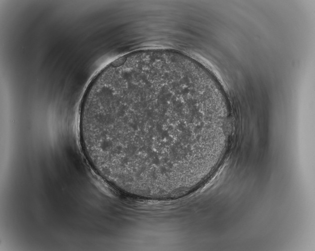 X0000086891179200705141616