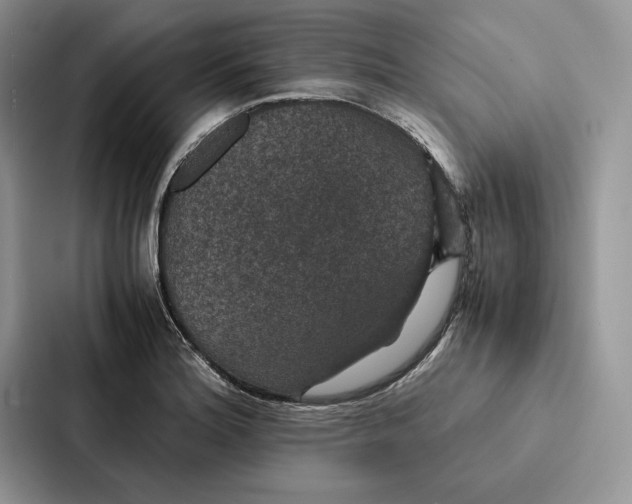 X0000086891180200705141616