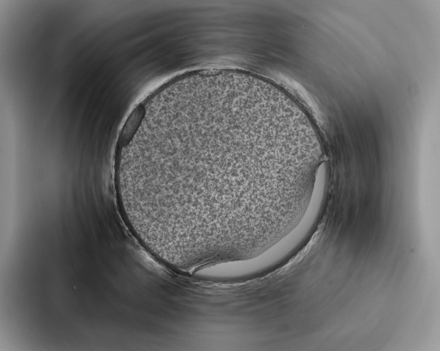 X0000086891184200705141616