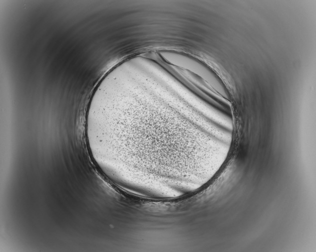 X0000086891185200705141616