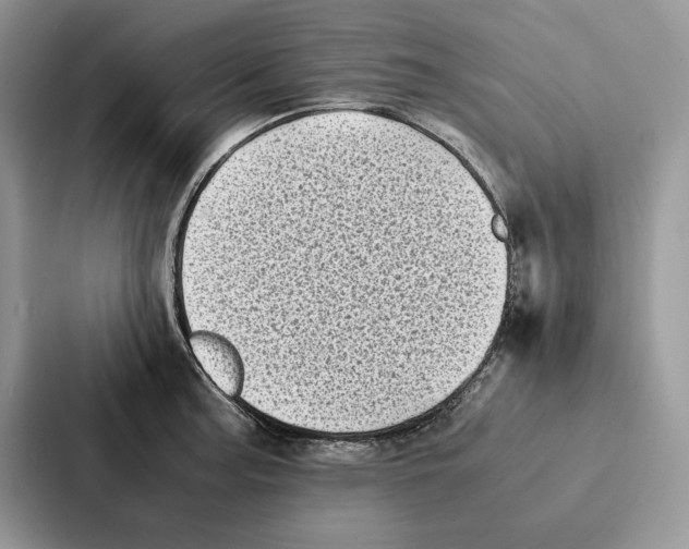 X0000086891187200705141616