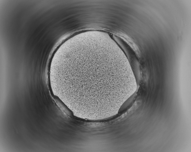 X0000086891188200705141616