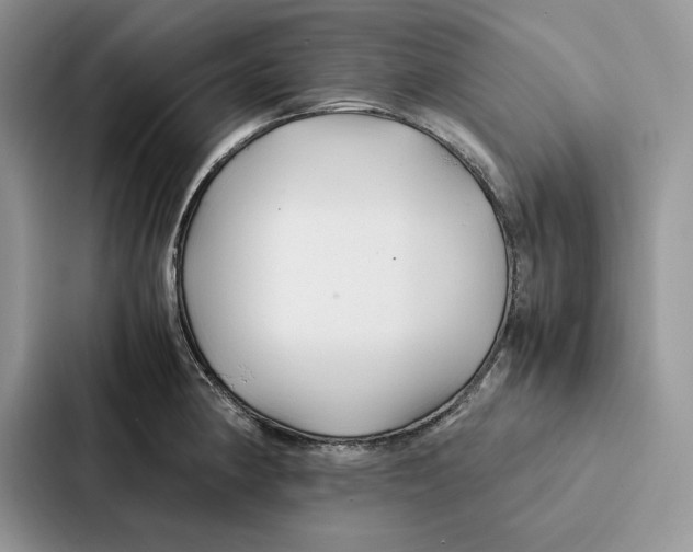 X0000086891190200705141616