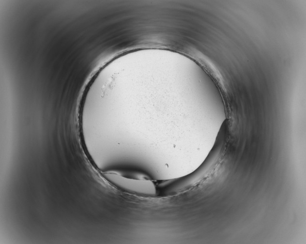 X0000086891192200705141616