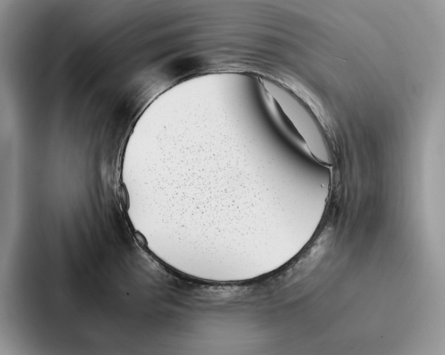 X0000086891193200705141616