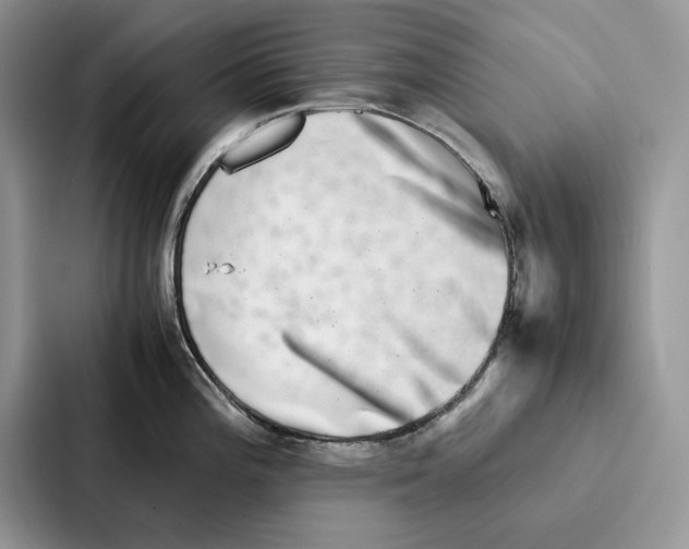 X0000086891196200705141616