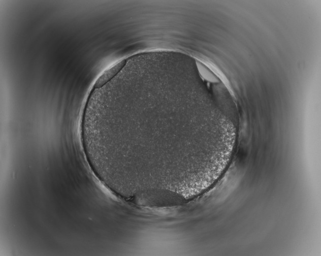 X0000086891197200705141616