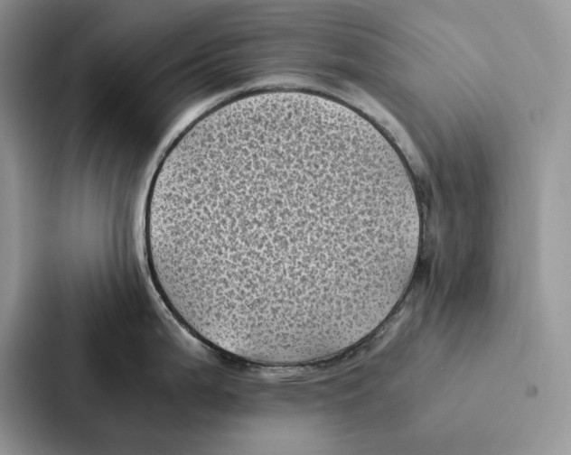 X0000086891199200705141616