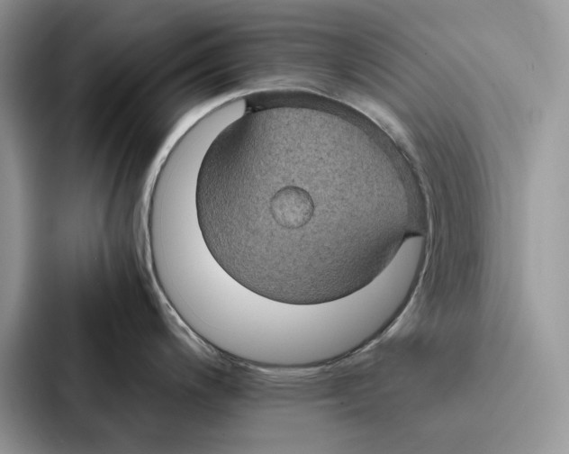 X0000086891200200705141616