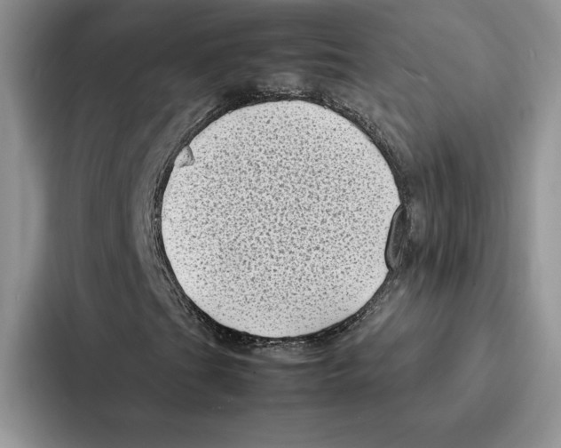 X0000086891201200705141616