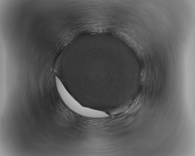 X0000086891202200705141616